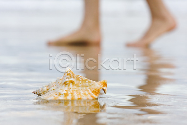 휴식 사람없음 JPG 포토 해외이미지 껍질 맨발 모래 물 바다 발 벌거벗은 양발 여름(계절) 해외202004 휴가