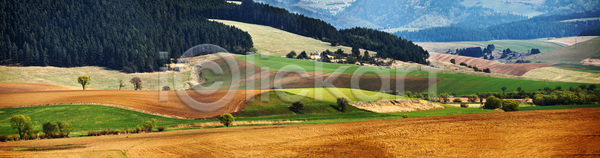 사람없음 JPG 포토 해외이미지 4월 계절 나무 노란색 농업 마을 맑음 목재 밭 백그라운드 봄 산 숲 슬로바키아 시골 야외 언덕 여행 자연 초록색 타운 파노라마 풍경(경치) 해외202004 햇빛