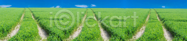 사람없음 JPG 포토 해외이미지 곡선 구름 길 나무 나선형 낟알 날씨 농업 농장 밭 보리 봄 수평선 옥수수 자국 자연 초록색 트랙터 파노라마 풍경 하늘 해외202004 해외포토 휴가