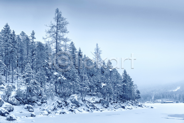 사람없음 JPG 포토 해외이미지 겨울 겨울풍경 나무 산 야외 자연 주간 해외202004