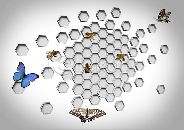 사람없음 3D PSD 입체 편집이미지 곤충 그래픽 나비 도형 동물 벌(곤충) 벌레 벌집 벌집무늬 자연 편집 허니콤