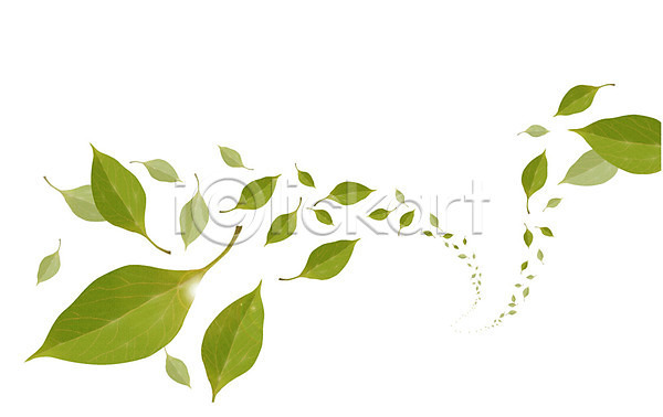 사람없음 AI(파일형식) 일러스트 나뭇잎 나뭇잎배경 날리기 무늬 백그라운드 식물 잎 초록색 컬러 패턴 패턴백그라운드