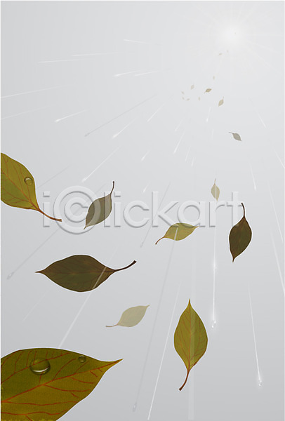 떨어짐 사람없음 AI(파일형식) 일러스트 나뭇잎 나뭇잎배경 날씨 무늬 백그라운드 비(날씨) 빗방울 식물 잎 패턴 패턴백그라운드