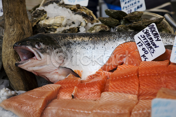 사람없음 JPG 포토 해외이미지 먹기 빨간색 상점 시장 어류 음식 해산물 해외202004