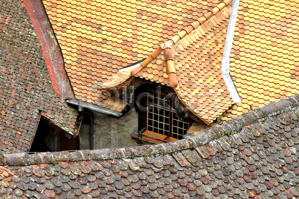 사람없음 JPG 포토 해외이미지 건물 도자기 백그라운드 벽돌 빨간색 산 스위스 옛날 유럽 주택 중세 지붕 질감 창문 초록색 타일 풍경(경치) 하늘 해외202004
