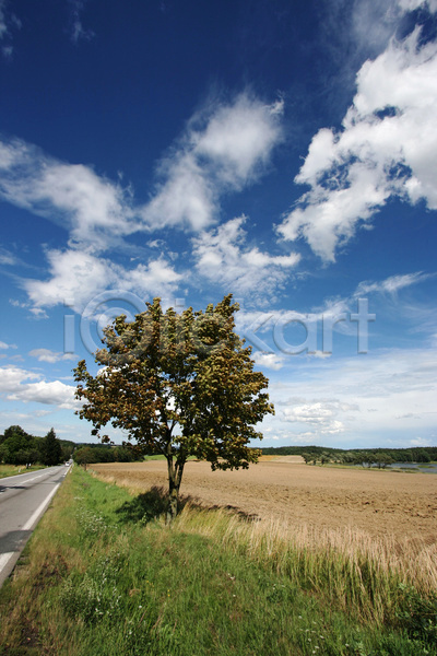 고독 사람없음 JPG 포토 해외이미지 공화국 구름(자연) 나무 시골 야외 여름(계절) 유럽 체코 파란색 풍경(경치) 하늘 해외202004 흰색