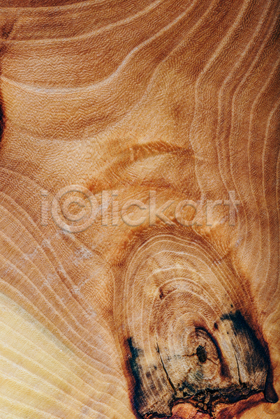 사람없음 JPG 근접촬영 포토 해외이미지 나무 나이테 목재 물푸레나무 백그라운드 질감 카피스페이스 해외202004