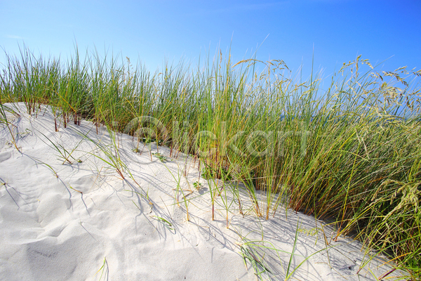 사람없음 JPG 포토 해외이미지 맑음 모래 모래언덕 뭉치 야외 여름(계절) 유럽 자연 채널 초록색 풍경(경치) 하늘 해외202004 휴가 흰색