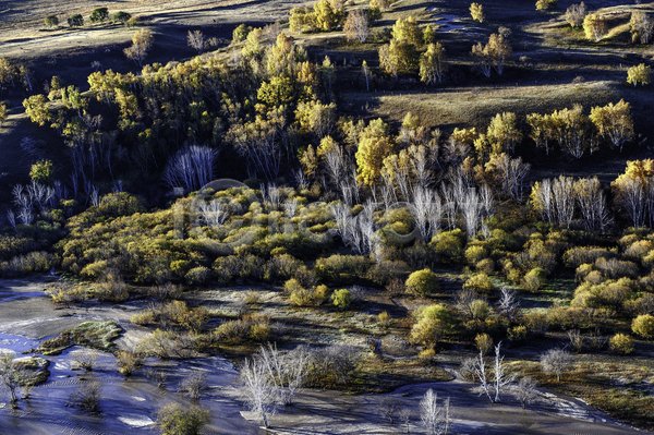 사람없음 JPG 포토 해외이미지 가을(계절) 계절 노란색 농경지 농장 몽골 밭 백그라운드 산 여행 일몰 일출 자연 자작나무 장면 중국 초록색 파란색 평야 풍경(경치) 하늘 해외202004 호수 황금