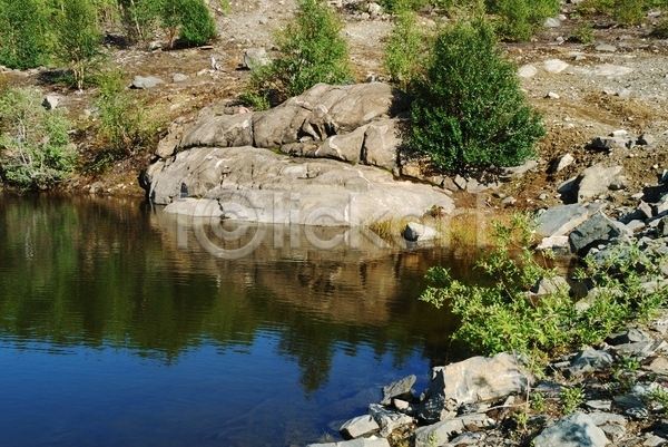 사람없음 JPG 포토 해외이미지 나무 물 바위 야외 여름(계절) 연못 잎 자연 잔물결 조각 풍경(경치) 해외202004 호수 환경