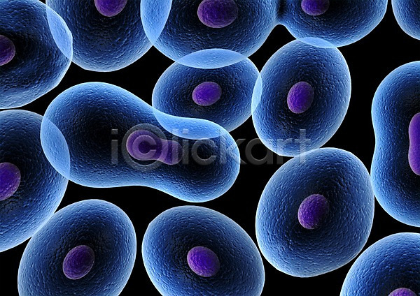 사람없음 3D PSD 입체 3D소스 그래픽 라이프 백그라운드 생명 생명공학 세포 신체 원형 의학 조직 치료 컬러 파란색 핵 현미경