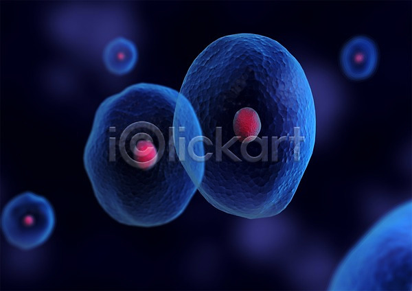 사람없음 3D PSD 입체 3D소스 그래픽 라이프 백그라운드 분열 생명 생명공학 세포 세포분열 신체 원형 의학 조직 치료 컬러 파란색 핵 현미경