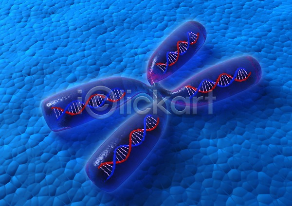 사람없음 3D PSD 입체 3D소스 DNA X 그래픽 나선형 라이프 백그라운드 생명 생명공학 세포 신체 염색체 의학 조직 치료 컬러 파란색 현미경