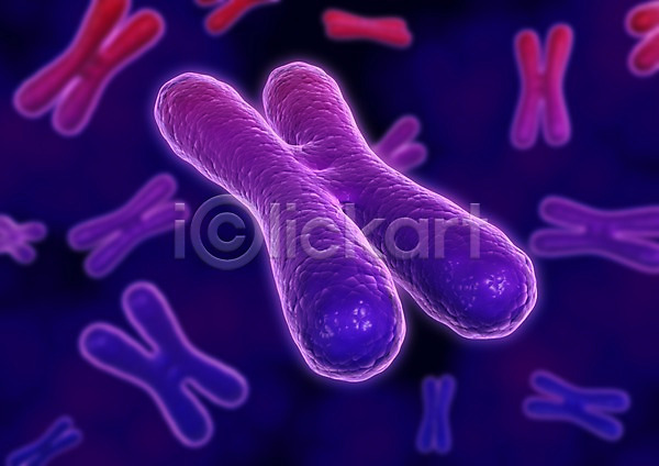 사람없음 3D PSD 입체 3D소스 DNA X 그래픽 라이프 백그라운드 보라색 생명 생명공학 세포 신체 염색체 의학 조직 치료 컬러 현미경