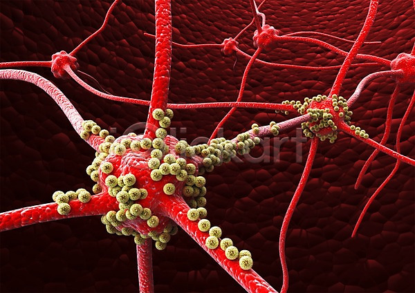 사람없음 3D PSD 입체 3D소스 그래픽 라이프 백그라운드 빨간색 생명 생명공학 세포 신체 의학 조직 치료 컬러 현미경