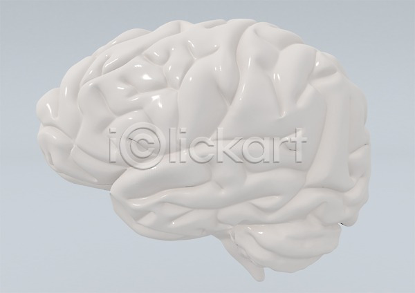 사람없음 신체부위 3D PSD 입체 3D소스 건강 그래픽 뇌 두뇌 신체 의학 장기(의학) 치료 컬러 해골 흰색