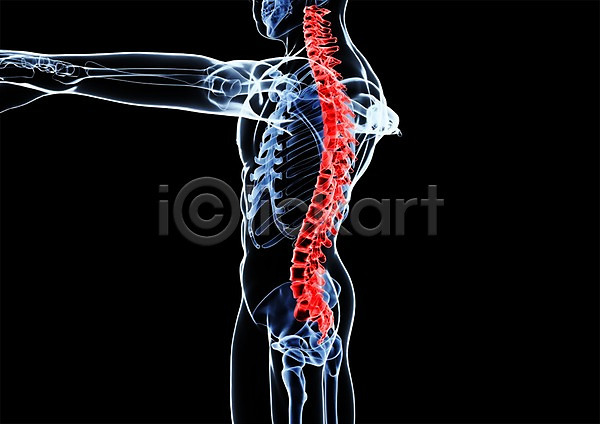 사람없음 신체부위 3D PSD 옆모습 입체 3D소스 건강 골격 그래픽 디스크(질병) 병원 뼈 신체 엑스레이 의학 척추 척추뼈 치료 투시 해부
