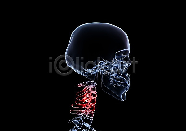 사람없음 신체부위 3D PSD 입체 3D소스 건강 골격 그래픽 디스크(질병) 목 목디스크 목뼈 병원 뼈 신체 엑스레이 의학 치료 투시 해부