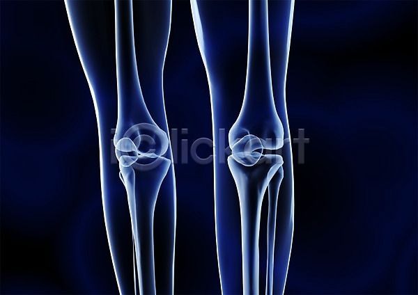 사람없음 신체부위 3D PSD 입체 3D소스 건강 골격 관절 그래픽 다리(신체부위) 다리뼈 무릎 병원 뼈 신체 엑스레이 의학 치료 투시 해부