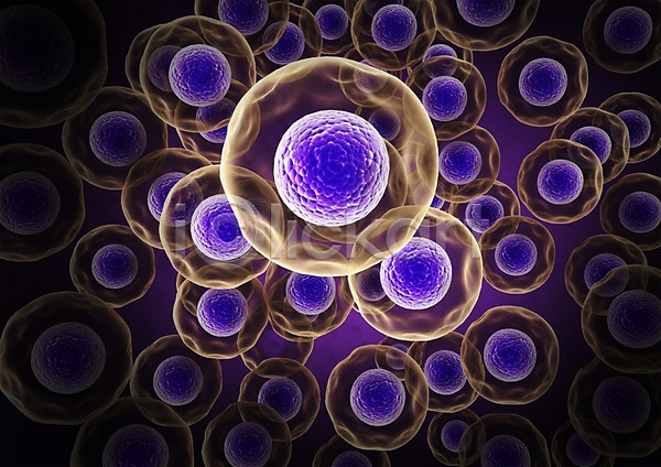 사람없음 3D PSD 입체 3D소스 그래픽 라이프 백그라운드 보라색 분열 생명 생명공학 세포 세포분열 신체 의학 조직 치료 컬러 핵 현미경
