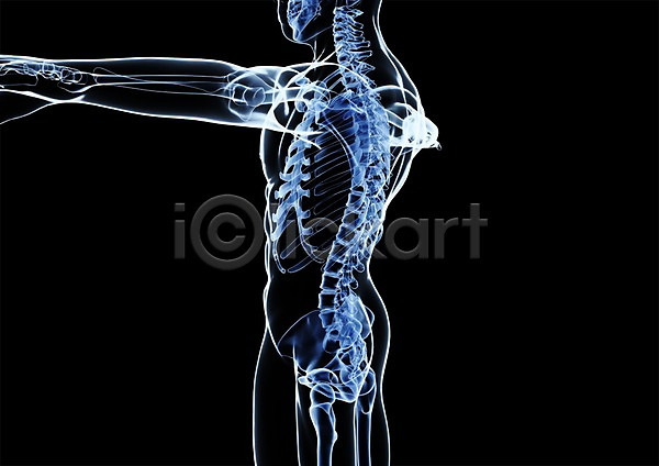 사람없음 신체부위 3D PSD 옆모습 입체 3D소스 건강 골격 그래픽 병원 뼈 신체 엑스레이 의학 척추 척추뼈 치료 투시 해부