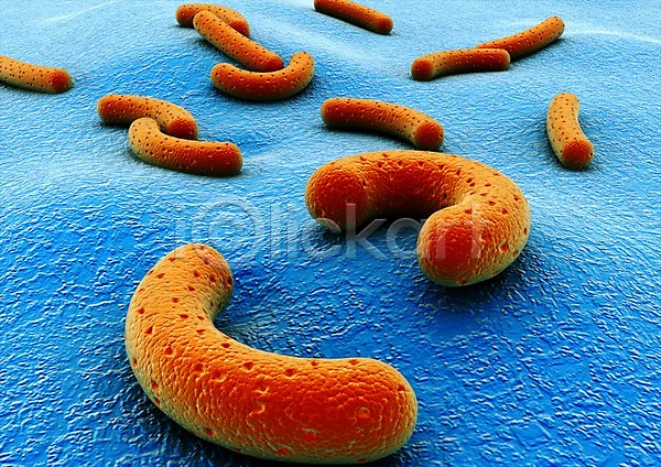 사람없음 3D PSD 입체 3D소스 그래픽 라이프 박테리아 백그라운드 생명 생명공학 세포 신체 의학 조직 주황색 치료 컬러 파란색 현미경