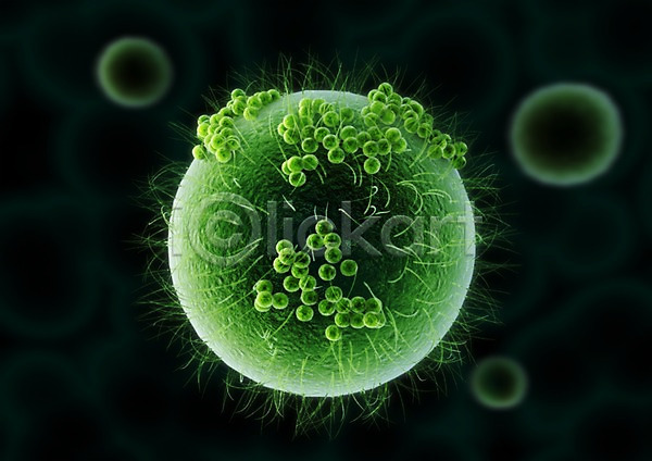 사람없음 3D PSD 입체 3D소스 그래픽 라이프 백그라운드 생명 생명공학 세포 신체 의학 조직 초록색 치료 컬러 현미경
