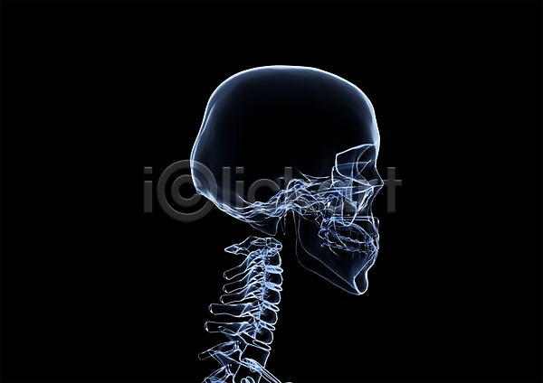 사람없음 신체부위 3D PSD 입체 3D소스 건강 골격 그래픽 머리 목 목뼈 병원 뼈 신체 엑스레이 의학 치료 투시 해골 해부