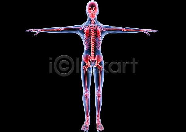 사람없음 신체부위 3D PSD 입체 3D소스 건강 골격 그래픽 병원 뼈 신체 엑스레이 의학 치료 투시 팔벌리기 해부