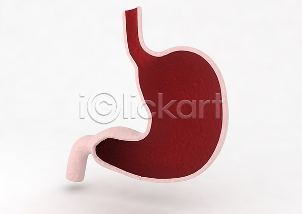 사람없음 신체부위 3D PSD 입체 3D소스 건강 그래픽 빨간색 소화(음식물분해) 소화기관 신체 위(내장기관) 의학 장기(의학) 치료 컬러
