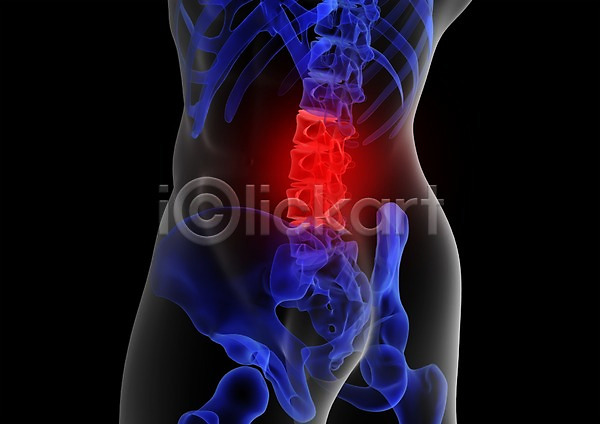 사람없음 신체부위 3D PSD 입체 3D소스 건강 골격 관절 그래픽 디스크(질병) 병원 뼈 신체 엑스레이 의학 장기(의학) 척추 척추뼈 치료 투시 해부 허리 허리디스크