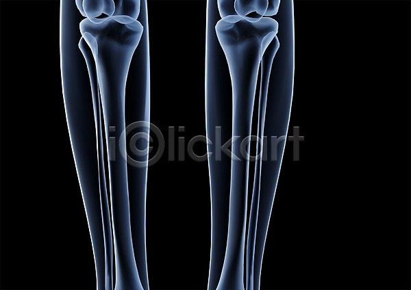 사람없음 신체부위 3D PSD 입체 3D소스 건강 골격 관절 그래픽 다리(신체부위) 다리뼈 병원 뼈 신체 엑스레이 의학 종아리 치료 투시 해부