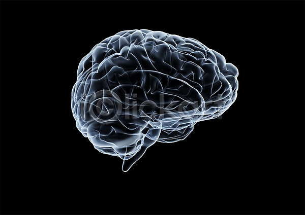 사람없음 신체부위 3D PSD 입체 3D소스 건강 그래픽 뇌 두뇌 병원 신체 엑스레이 의학 장기(의학) 치료 투시 해부