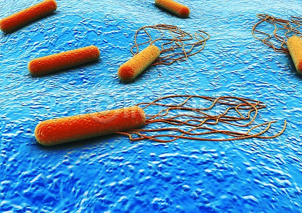 사람없음 3D PSD 입체 3D소스 그래픽 라이프 백그라운드 생명 생명공학 세포 신체 의학 조직 치료 컬러 파란색 현미경