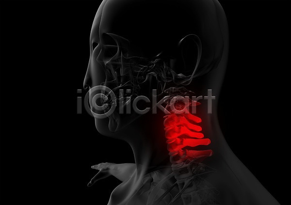사람없음 신체부위 3D PSD 옆모습 입체 3D소스 건강 골격 관절 그래픽 디스크(질병) 목 목디스크 목뼈 병원 뼈 상반신 신체 엑스레이 의학 치료 투시 해부
