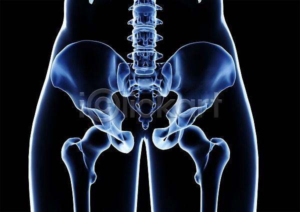 사람없음 신체부위 3D PSD 입체 3D소스 건강 고관절 골격 골반 골반뼈 관절 그래픽 병원 뼈 신체 엉덩이 엉덩이뼈 엑스레이 의학 장기(의학) 치료 투시 하반신 해부 허리