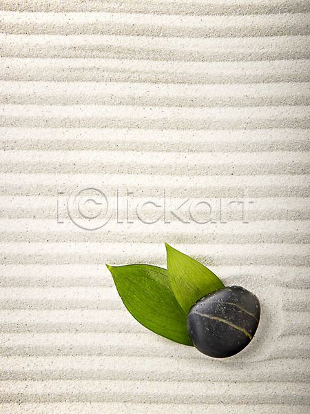 사람없음 JPG 포토 광석 나뭇잎 돌(바위) 모래 무늬 백그라운드 선 스튜디오촬영 식물 실내 잎 조약돌 줄 컨셉