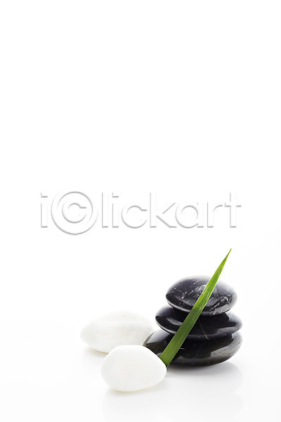 사람없음 JPG 포토 검은색 광석 나뭇잎 돌(바위) 백그라운드 스튜디오촬영 식물 실내 잎 조약돌 컨셉 흰색