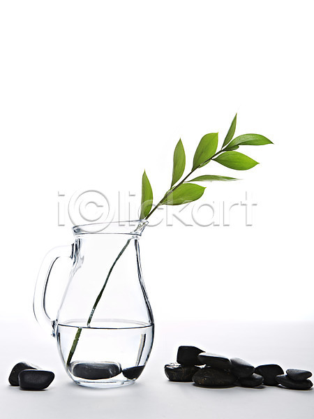 사람없음 JPG 포토 검은색 광석 나뭇가지 나뭇잎 돌(바위) 물 물병 백그라운드 병(담는) 스튜디오촬영 식물 실내 잎 조약돌 컨셉