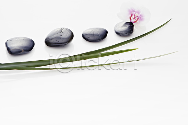 사람없음 JPG 근접촬영 포토 검은색 광석 꽃 나뭇잎 돌(바위) 백그라운드 스튜디오촬영 식물 실내 잎 조약돌 컨셉