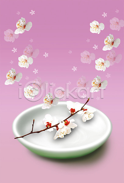 사람없음 PSD 편집이미지 계절 그릇 꽃 꽃가지 꽃잎 나뭇가지 벚꽃 봄 식기 식물 접시 컬러 흰색