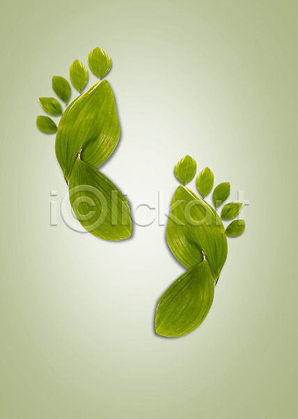 사람없음 PSD 편집이미지 모양 발 발가락 발바닥 식물 잎 풀(식물)