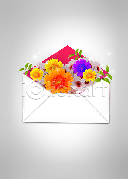 사람없음 PSD 편집이미지 꽃 담기 봉투 식물 잎 컬러풀 편지 편지봉투 풀(식물)