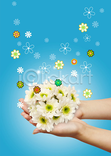신체부위 한명 PSD 편집이미지 꽃 꽃잎 들기 손 식물 양손 컬러 풀(식물) 흰색