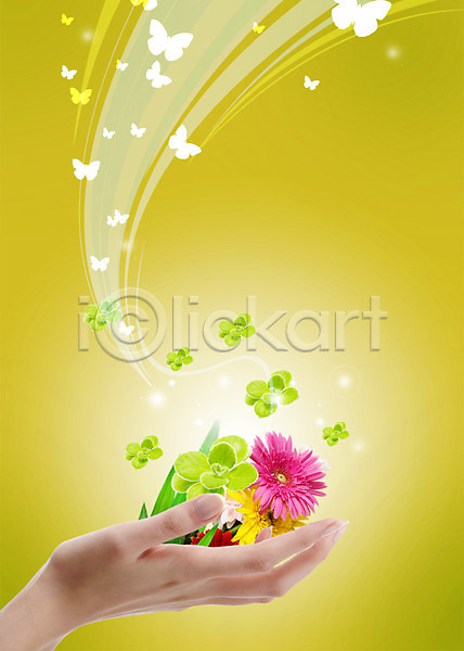 신체부위 한명 PSD 편집이미지 꽃 나비 들기 모형 손 식물 잎 풀(식물) 한손