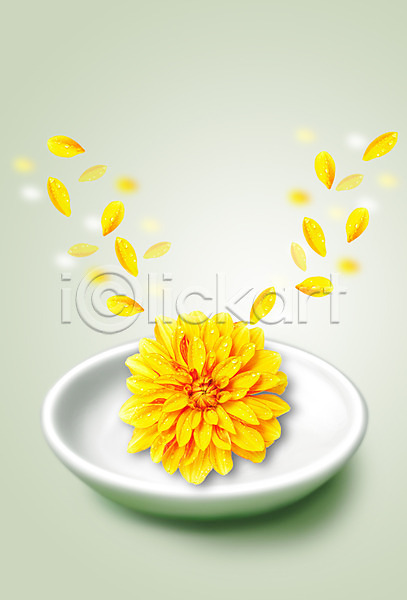 사람없음 PSD 편집이미지 그릇 꽃 꽃잎 노란색 식기 식물 접시 컬러 풀(식물)