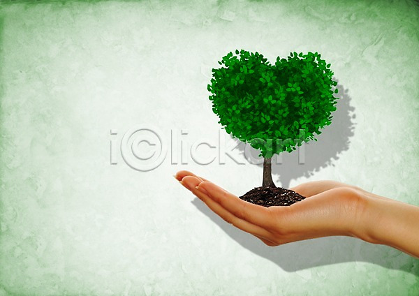보호 환경보전 신체부위 한명 PSD 편집이미지 그린에너지 그린캠페인 나무 들기 라이프스타일 손 식물 자연 자연보호 캠페인 한손 환경