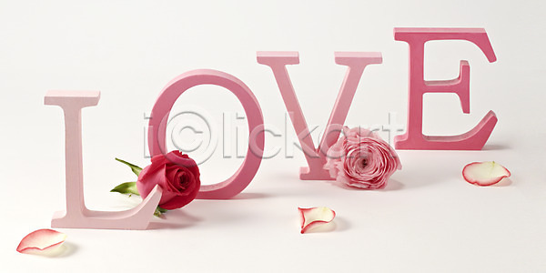 사랑 사람없음 JPG 포토 국내포토 꽃 꽃백그라운드 꽃잎 단어 대문자 백그라운드 빨간색 스튜디오촬영 식물 실내 알파벳 영어 장미 컬러