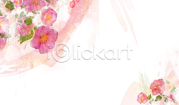 사람없음 PSD 일러스트 꽃 꽃백그라운드 백그라운드 베고니아 분홍색 식물 잎 자연 컬러