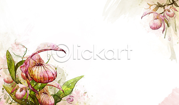 사람없음 PSD 일러스트 개불알꽃 꽃 꽃백그라운드 백그라운드 분홍색 식물 잎 자연 컬러